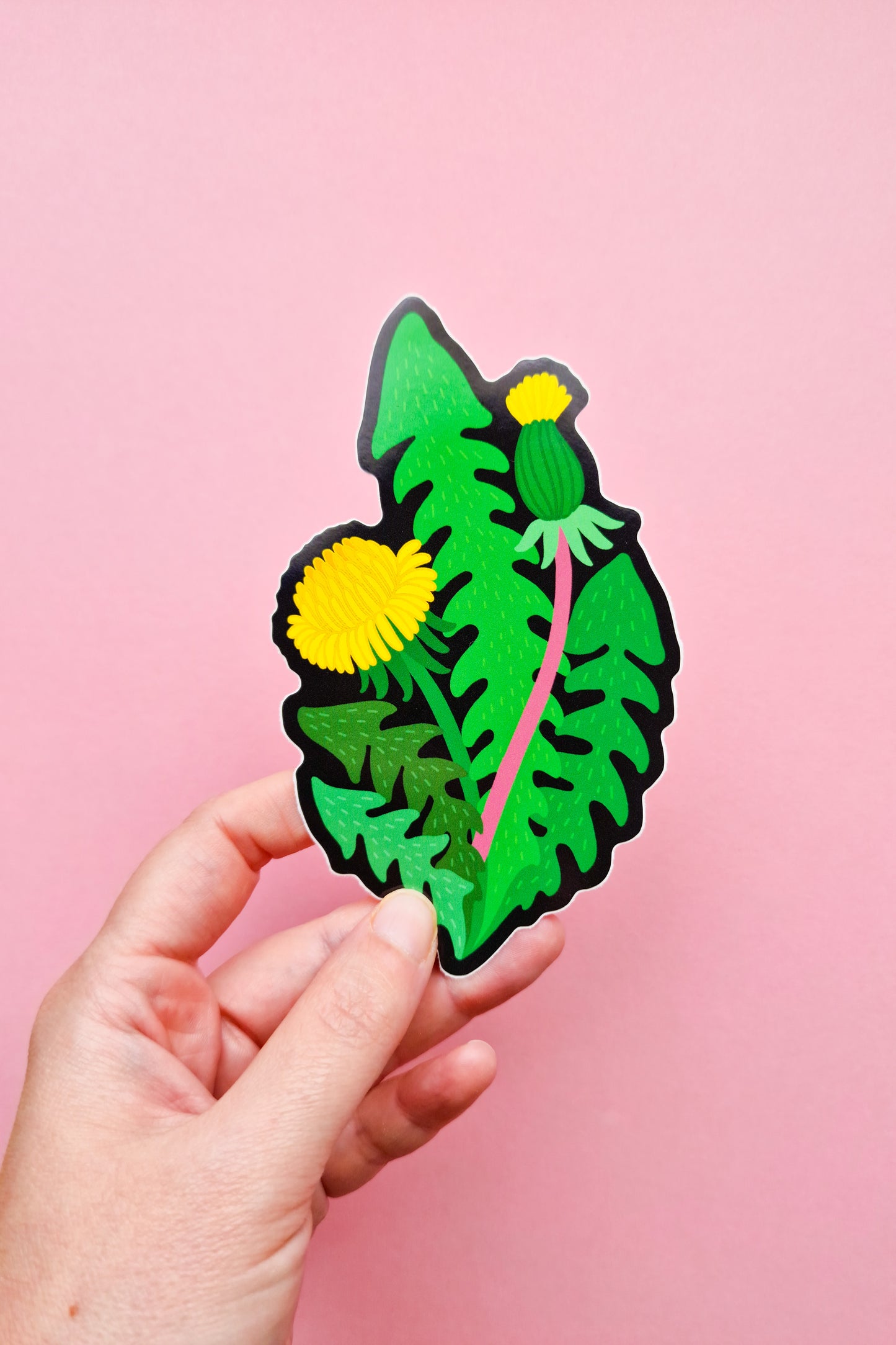 XL Dandelion Sticker