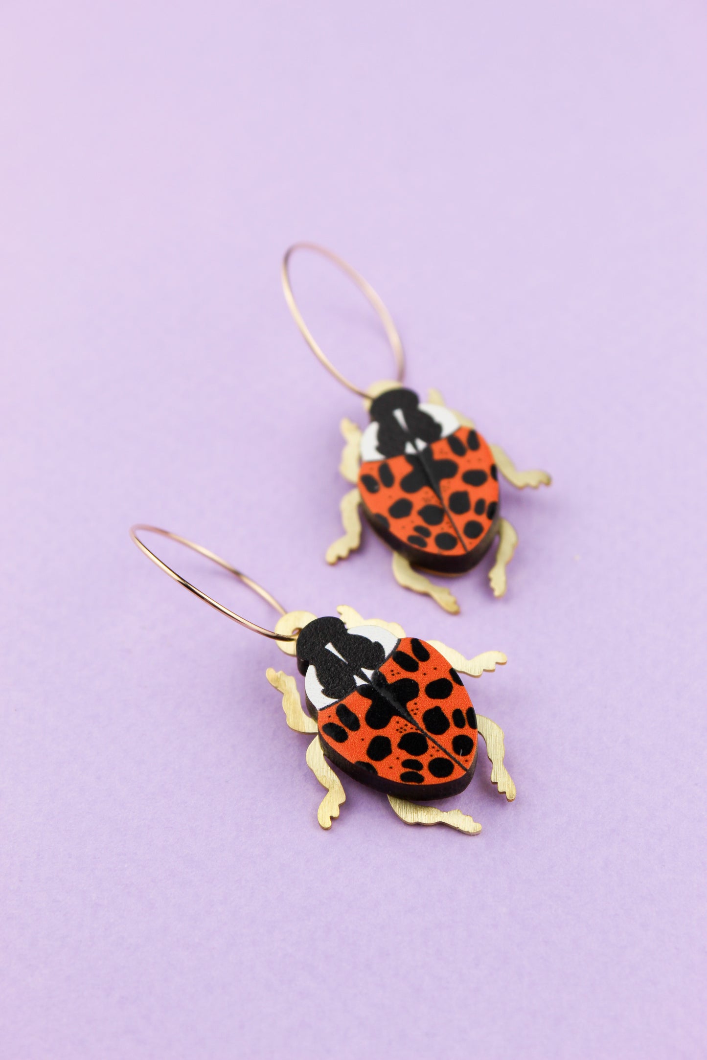 Orange Harlequin Ladybird Earrings