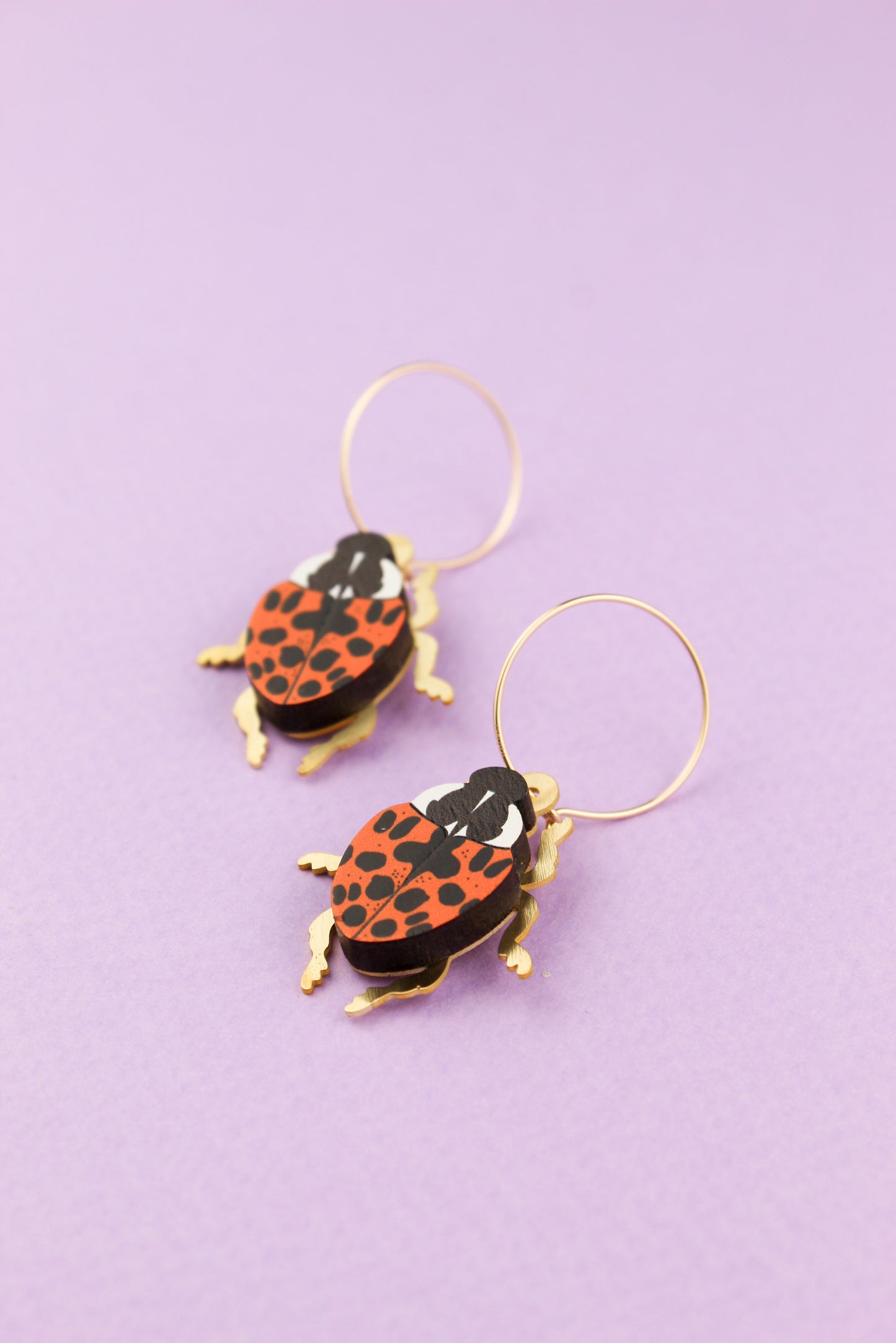 Orange Harlequin Ladybird Earrings