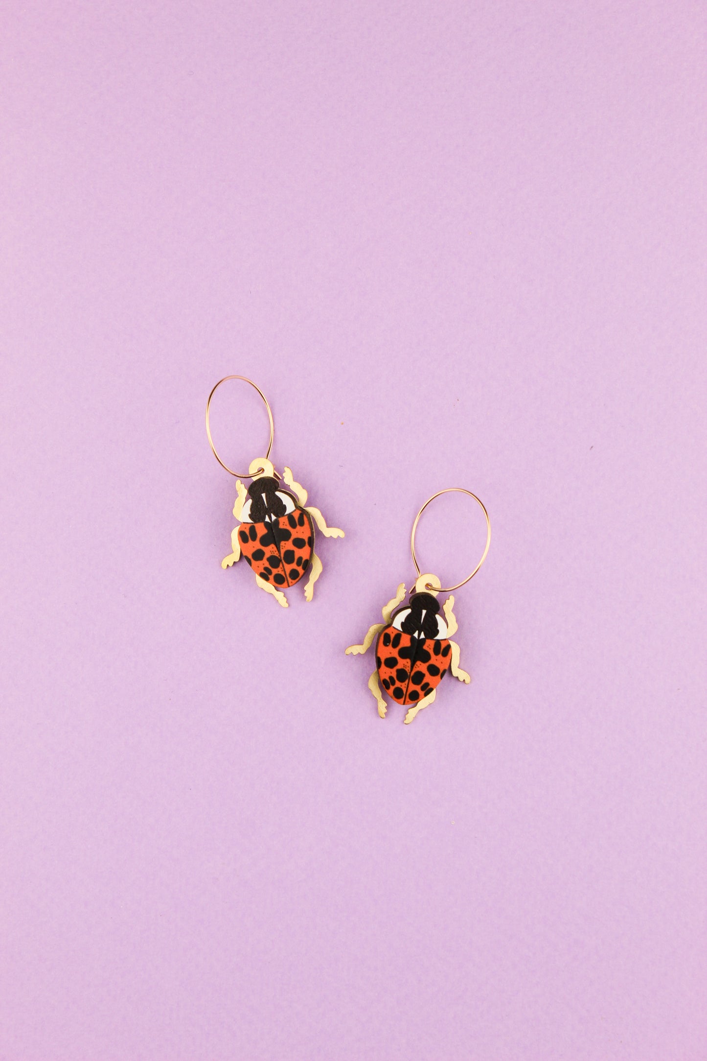 Orange Harlequin Ladybird Earrings