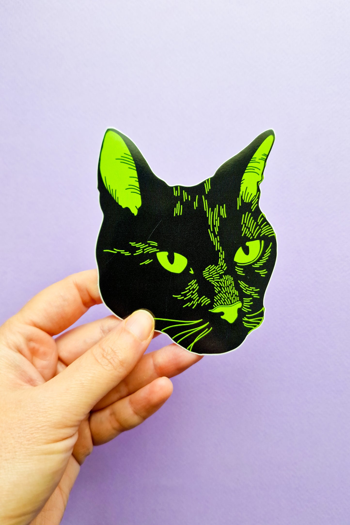 XL Black Cat Sticker