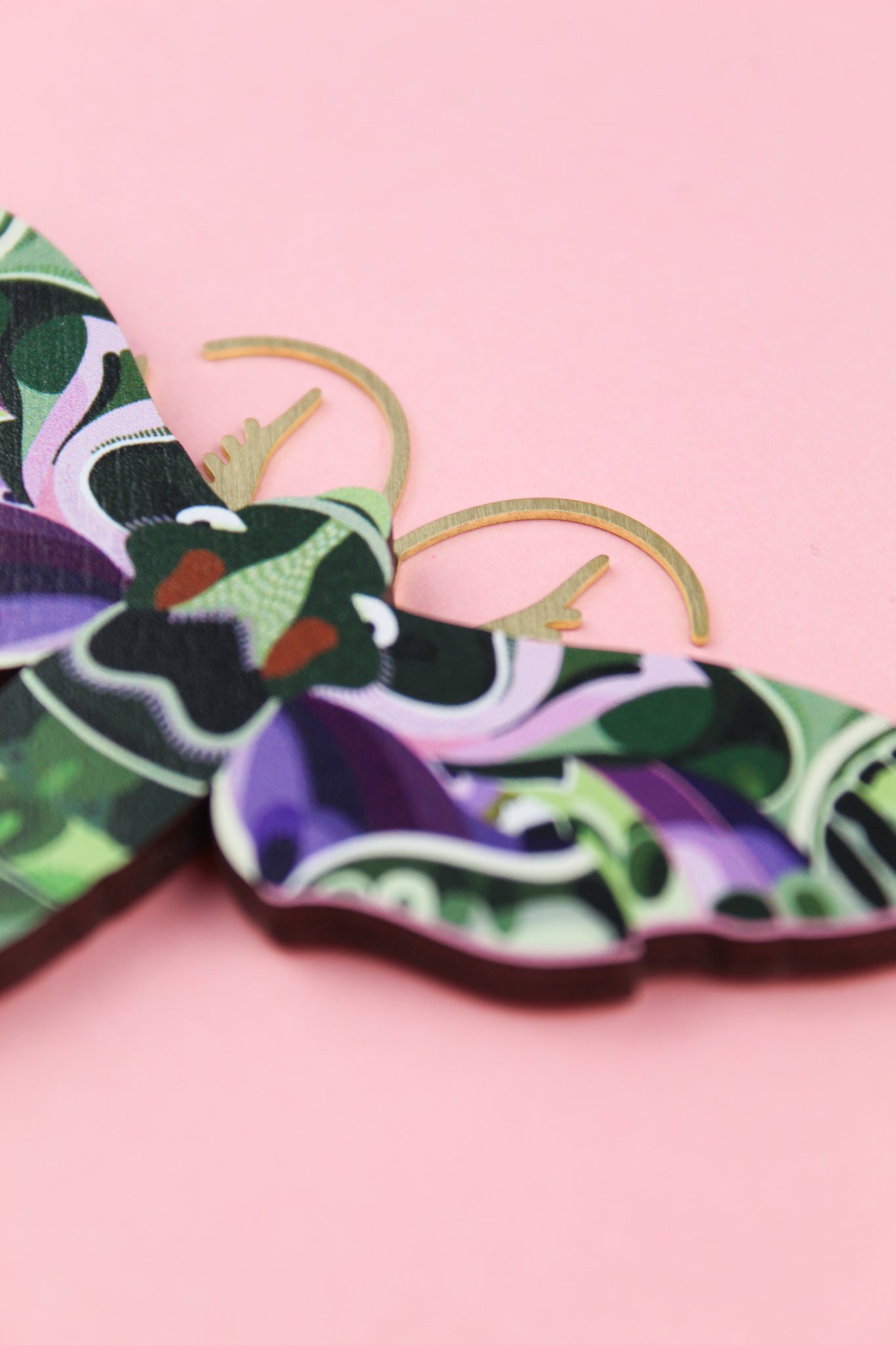 Flying Oleander Hawk-moth Brooch